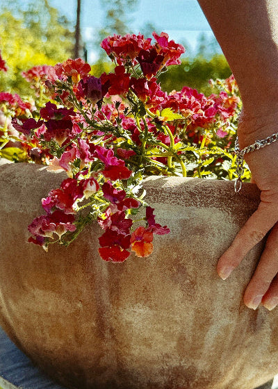 Person holding a large stone planter with red flowers against a blurred natural background